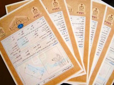 حدنگاری و صدور سند زمین‌های کشاورزی تسریع شد