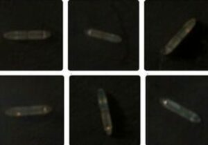 عبور ۴ نفتکش ایرانی از محاصره دریایی آمریکا + عکس