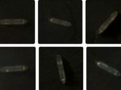 عبور ۴ نفتکش ایرانی از محاصره دریایی آمریکا + عکس