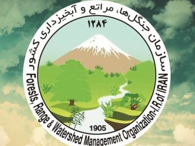 پیگیری بین‌المللی حمله به سازمان منابع طبیعی کشور