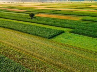 ۴ میلیون هکتار مراتع کشور در سال ۱۴۰۴ حفظ و احیا شد