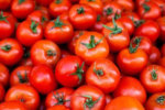 بازار صادراتی جان گرفت / دستور تازه گمرک برای خروج آزادانه سه کالای حساس