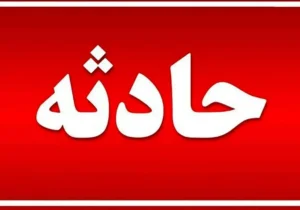 جزئیات سقوط مرگبار هواپیما در آمریکا با ۵ کشته