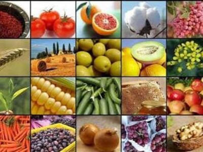 صادرات ۲۰ محصول کشاورزی آزاد شد