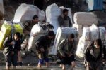 واردات این کالا‌ها  از مسیر کولبری ممنوع شد