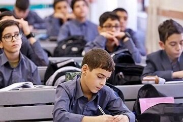 کدام مدارس حذف می شوند؟/  «در خود دولت مدارس متنوعی داریم»
