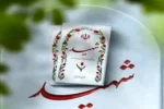 ۱۴ نیر‌وی سپاه امروز در زنجان شهید شدند+ جزئیات