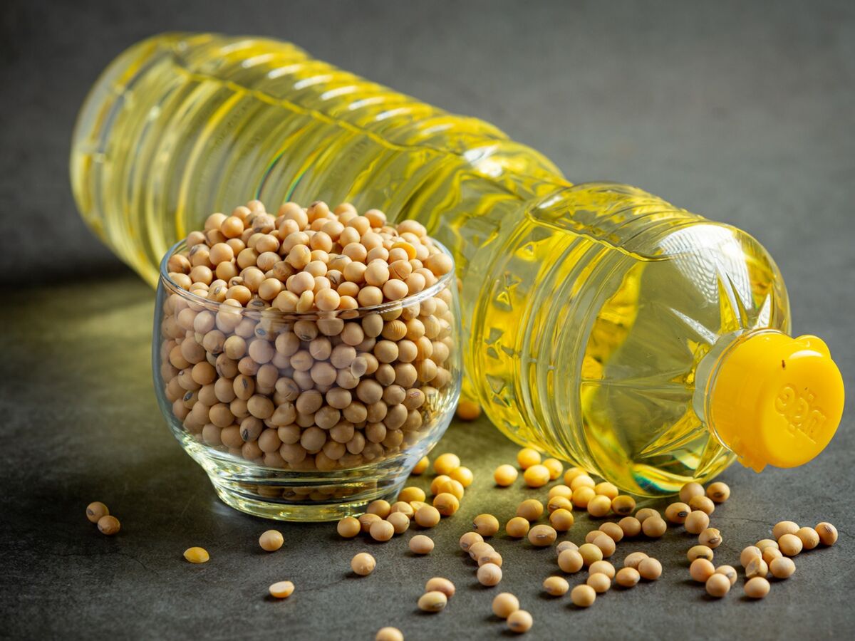 خرید عمده انواع روغن خوراکی