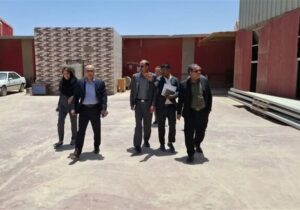ضرب‌الاجل محیط‌زیست یزد برای مهار کانون‌های گرد و غبار صنایع مهریز