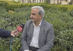 پیش‌بینی خرید ۱۲۰ هزار تن برگ سبز چای‌ از باغداران ‌گیلان و مازندران
