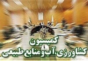 پیگیری سازوکار پرداخت مطالبات گندمکاران در کمیسیون کشاورزی مجلس