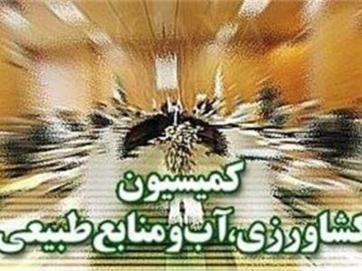 پیگیری سازوکار پرداخت مطالبات گندمکاران در کمیسیون کشاورزی مجلس