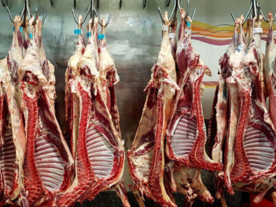 بازار گوشت در مسیر ثبات؛  ایران ظرفیت تبدیل شدن به هاب تولید و صادرات گوشت را دارد