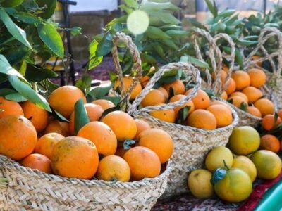 تلفیق فساد و سوءمدیریت باعث خسارت به بیت‌المال است