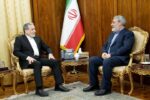 رحمانی فضلی با عراقچی دیدار کرد