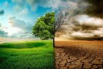 زنگ خطر ال‌نینو برای اقتصاد جهان؛ شرکت‌های بزرگ در آماده‌باش