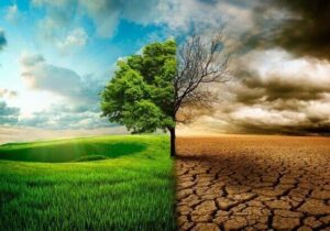 زنگ خطر ال‌نینو برای اقتصاد جهان؛ شرکت‌های بزرگ در آماده‌باش
