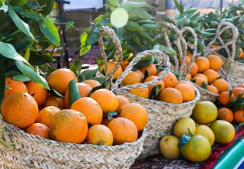 اخبار استان مازندران , اخبار بابل , 