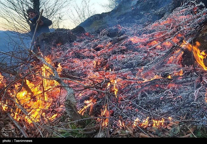 اخبار استان مازندران , اخبار ساری , نظام مسائل استان , نظام مسائل استان مازندران , آتش سوزی جنگل ها و مراتع , جنگل های هیرکانی , 