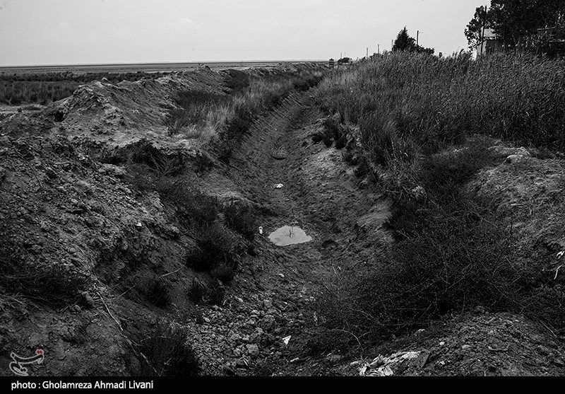 اخبار استان مازندران , اخبار ساری , نظام مسائل استان , نظام مسائل استان مازندران , آتش سوزی جنگل ها و مراتع , جنگل های هیرکانی , 