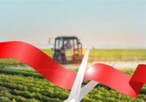 میانگین زمان صدور مجوزهای کشاورزی به ۳۵ روز کاهش یافت