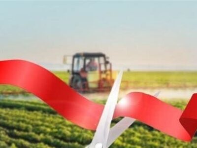 میانگین زمان صدور مجوزهای کشاورزی به ۳۵ روز کاهش یافت