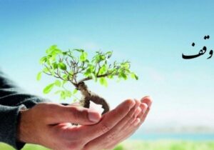 وقف برای فرزندآوری؛ پیشنهاد تأمین هزینه بارداری و تولد از محل موقوفات