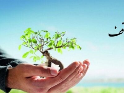 وقف برای فرزندآوری؛ پیشنهاد تأمین هزینه بارداری و تولد از محل موقوفات