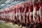 کاهش ۶ درصدی تولید گوشت قرمز در تیر ۱۴۰۵