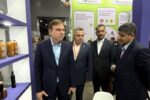 برنامهریزی برای صادرات مستقیم میگوی بوشهر به بازار روسیه