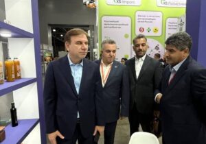 برنامهریزی برای صادرات مستقیم میگوی بوشهر به بازار روسیه