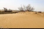 بیابان‌زایی درکمین مراتع کرمان؛خشکسالی و برداشت بی‌رویه آب ۲ عامل اصلی