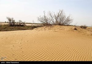 بیابان‌زایی درکمین مراتع کرمان؛خشکسالی و برداشت بی‌رویه آب ۲ عامل اصلی