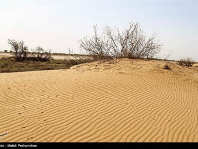 بیابان‌زایی درکمین مراتع کرمان؛خشکسالی و برداشت بی‌رویه آب ۲ عامل اصلی
