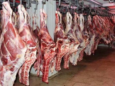 تاکنون مجوز عرضه گوشت اسب و الاغ صادر نشده