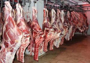 تاکنون مجوز عرضه گوشت اسب و الاغ صادر نشده