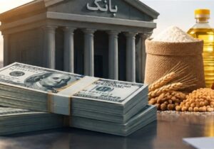 تسهیلات ارزی برای واردات کالای اساسی؛منابع بانک‌ها ازکجا تأمین می‌شود؟
