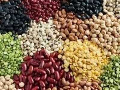 ثبت سفارش حبوبات باز شد