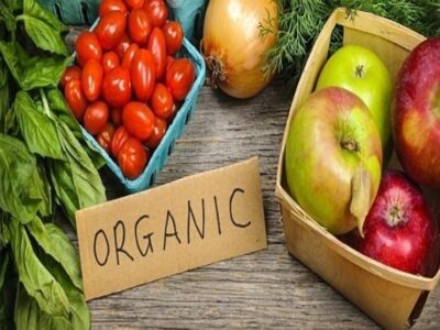 جزئیات فرآیند ۵ مرحله‌ای دریافت گواهی محصولات ارگانیک اعلام شد