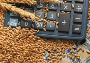 خرید گندم توسط دلالان تا ۶۰ هزار تومان در مناطق مرزی