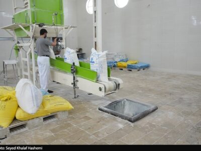 سقف سهمیه آرد نانوایی‌های آزادپز ۳۰۰ کیسه شد