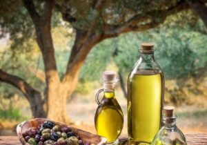 سقوط صنعت زیتون در زنجان/ نابودی زنجیره ‌از صنایع تبدیلی تا باغدار