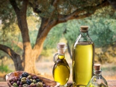 سقوط صنعت زیتون در زنجان/ نابودی زنجیره ‌از صنایع تبدیلی تا باغدار
