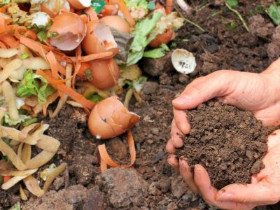 شرایط صادرات کمپوست برای جلوگیری از خروج خاک پوششی سخت شد