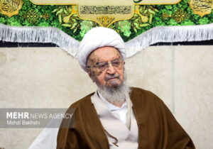 عارف با آیت‌الله مکارم شیرازی دیدار و گفتگو کرد