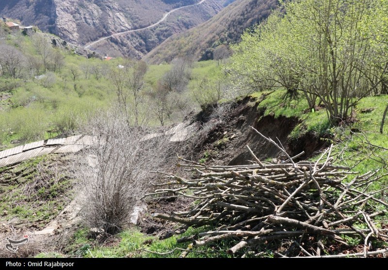 اخبار استان مازندران , اخبار ساری , نظام مسائل استان مازندران , نظام مسائل استان , 