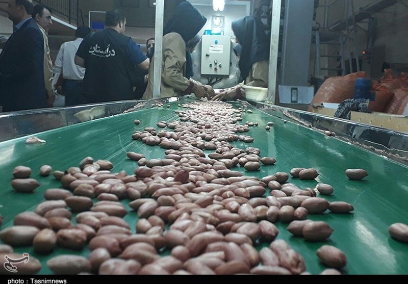 اخبار استان گیلان , کشاورزی , 