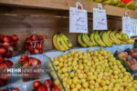 میوههای مفید برای سلامت کلیه را بشناسیم