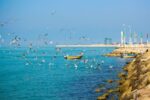 پیوند عمیق ظرفیت‌های تاریخی با میراث ناملموس گردشگری بوشهر