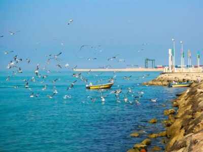 پیوند عمیق ظرفیت‌های تاریخی با میراث ناملموس گردشگری بوشهر